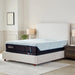 TEMPUR-ProAdapt Mattress - Pierce Furniture Gallery