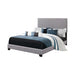 Boyd Twin Upholstered Bed with Nailhead Trim Grey image
