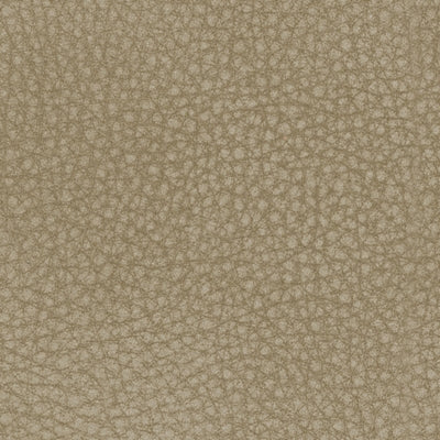 Next-Gen DuraPella Power Reclining Sofa - Pierce Furniture Gallery