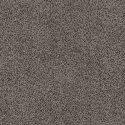 WhipLash Power Reclining Sofa - Pierce Furniture Gallery