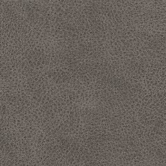 WhipLash Living Room Set - Pierce Furniture Gallery