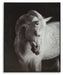 Archerwick Wall Art - Pierce Furniture Gallery