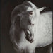 Archerwick Wall Art - Pierce Furniture Gallery