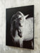 Archerwick Wall Art - Pierce Furniture Gallery
