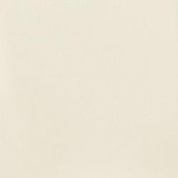 Kimonte Dining Chair Set - Pierce Furniture Gallery