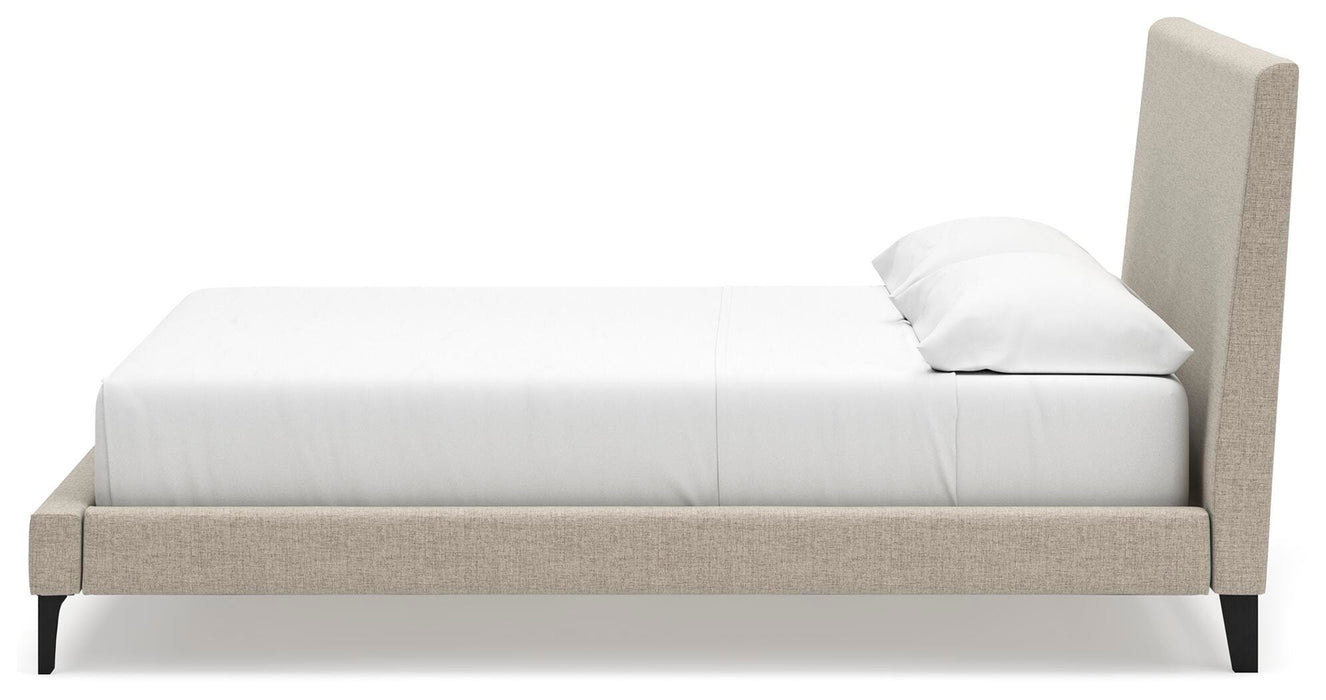 Cielden Upholstered Bed with Roll Slats - Pierce Furniture Gallery