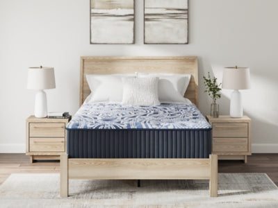 Firm Luxe 2.0 Mattress - Pierce Furniture Gallery