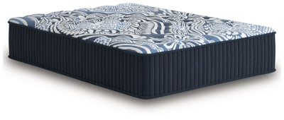 Firm Luxe 2.0 Mattress - Pierce Furniture Gallery