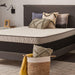 Spruce Innerspring Mattress - Pierce Furniture Gallery