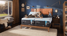 Tempur-Ergo Smart Base - Pierce Furniture Gallery
