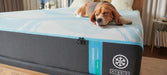 Tempur-Pedic LuxeBreeze Medium Hybrid Mattress - Pierce Furniture Gallery