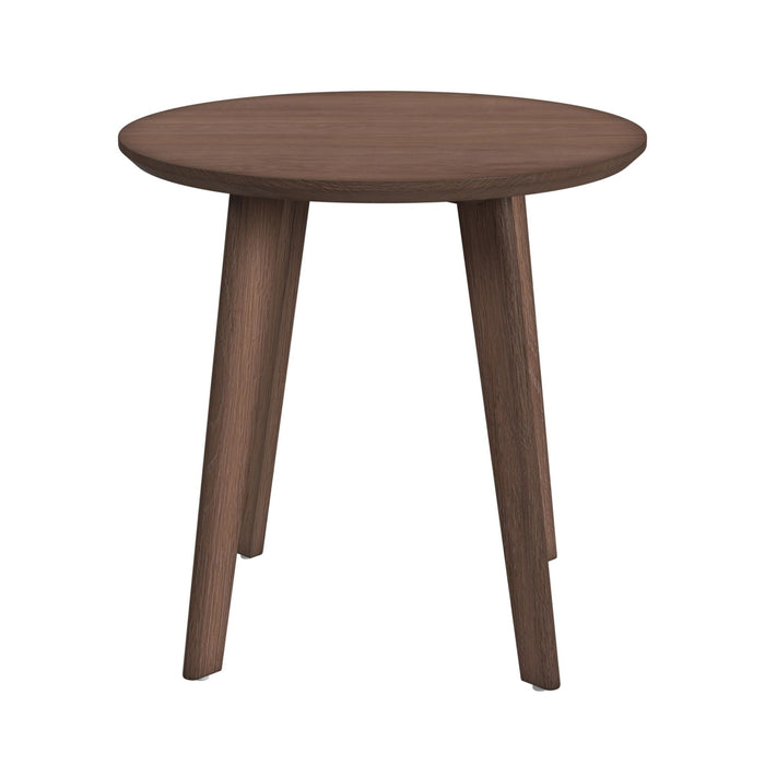 Theo Three Pack Occasional Set with Coffee Table and 2 End Tables in Walnut