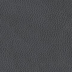 Next Move Power Reclining Sofa - Pierce Furniture Gallery