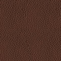 Next Move Power Reclining Sofa - Pierce Furniture Gallery