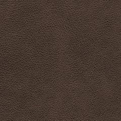 Crossplex Power Reclining Sofa - Pierce Furniture Gallery